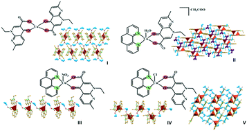 Graphical abstract: Hydrogen bonding networks of nalidixic acid–copper(ii) complexes