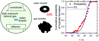 Graphical abstract: Hydrate nucleation and growth on water droplets acoustically-levitated in high-pressure natural gas