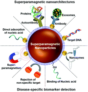 Graphical abstract: Superparamagnetic nanoarchitectures for disease-specific biomarker detection