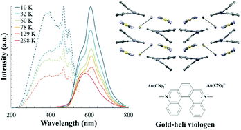 Graphical abstract: Synthesis, structure and photophysical properties of a 2D network with gold dicyanide donors coordinated to aza[5]helicene viologen acceptors