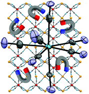 Graphical abstract: Correlating magnetic anisotropy with [Mo(CN)7]4− geometry of MnII–MoIII magnetic frameworks