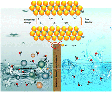 Graphical abstract: An MXene-based membrane for molecular separation
