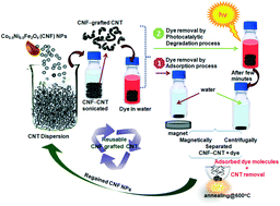 Graphical abstract: Bifunctional reusable Co0.5Ni0.5Fe2O4 nanoparticle-grafted carbon nanotubes for aqueous dye removal from contaminated water