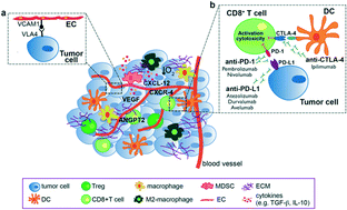 Graphical abstract: Tumor-on-a-chip platforms to study cancer–immune system crosstalk in the era of immunotherapy