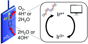 Graphical abstract: Recent advances in understanding oxygen evolution reaction mechanisms over iridium oxide