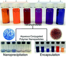 Graphical abstract: New conjugated polymer nanoparticles with high photoluminescence quantum yields for far-red and near infrared fluorescence bioimaging