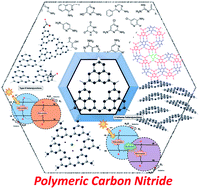Graphical abstract: Polymeric carbon nitrides and related metal-free materials for energy and environmental applications