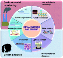 Graphical abstract: Recent advances in 2D/nanostructured metal sulfide-based gas sensors: mechanisms, applications, and perspectives
