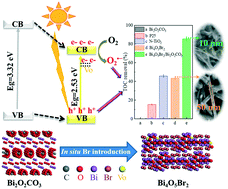 Graphical abstract: Ultrathin Bi4O5Br2 nanosheets with surface oxygen vacancies and strong interaction with Bi2O2CO3 for highly efficient removal of water contaminants