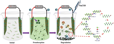 Graphical abstract: Efficient preadsorption–degradation of PFOA in water by a NaClO-assisted electrocoagulation technique using an Fe/Ni foam electrode