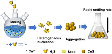 Graphical abstract: Boosting the growth and aggregation of sulfide nanoparticles via regulating heterogeneous nucleation for enhanced sedimentation