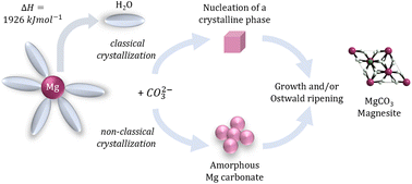 Graphical abstract: Mechanisms of Mg carbonates precipitation and implications for CO2 capture and utilization/storage