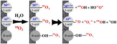 Graphical abstract: Mechanism of catalytic ozonation in different surface acid sites of oxide aqueous suspensions
