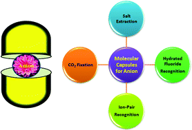 Graphical abstract: Anion induced capsular self-assemblies