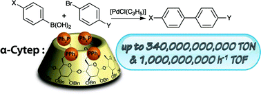 Graphical abstract: Cavitand supported tetraphosphine: cyclodextrin offers a useful platform for Suzuki-Miyaura cross-coupling