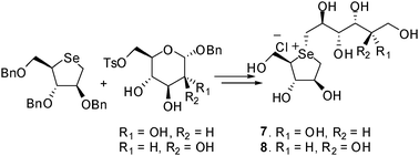 Graphical abstract: The effect of heteroatom substitution of sulfur for selenium in glucosidase inhibitors on intestinal α-glucosidase activities