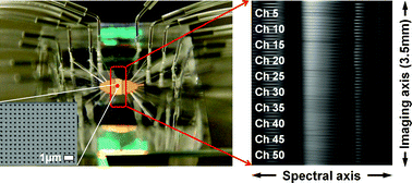 Graphical abstract: Real-time full-spectral imaging and affinity measurements from 50 microfluidic channels using nanohole surface plasmon resonance