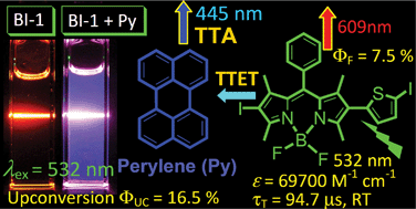 Graphical abstract: Thienyl-substituted BODIPYs with strong visible light-absorption and long-lived triplet excited states as organic triplet sensitizers for triplet–triplet annihilation upconversion