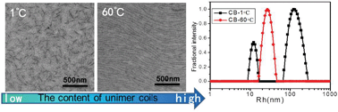 Graphical abstract: Formation of parallel aligned nano-fibrils of poly(3,3′′′-didodecylquaterthiophene) induced by the unimer coils in solution