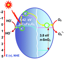 Graphical abstract: Nanostructures and optical, electrical, magnetic, and photocatalytic properties of hydrothermally and sonochemically prepared CuFe2O4/SnO2
