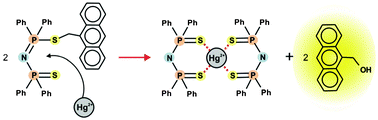 Graphical abstract: A highly selective off–on fluorescent chemodosimeter for Hg2+ based on a anthracene–bis(phosphinesulfide) conjugate