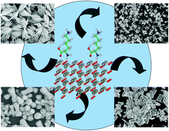 Graphical abstract: Hierarchical ZnO nanostructures: controlling the synthesis and photocatalytic decomposition of nitrogen monoxide