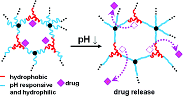 Graphical abstract: Novel “core-first” star-based quasi-model amphiphilic polymer networks