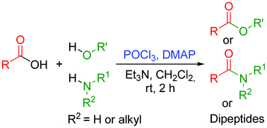 Graphical abstract: Phosphorus oxychloride as an efficient coupling reagent for the synthesis of esters , amides and peptides under mild conditions