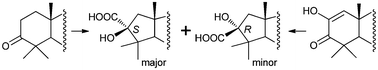Graphical abstract: Stereoselectivity of A-ring contraction for 3-oxotriterpenoids