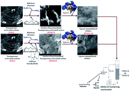 Graphical abstract: Biocatalytic approach on the treatment of edible oil refinery wastewater