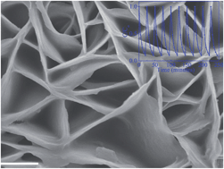 Graphical abstract: Single crystalline LiNb3O8 nanoflakes for efficient photocatalytic degradation of organic pollutants