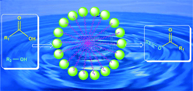 Graphical abstract: An efficient renewable-derived surfactant for aqueous esterification reactions