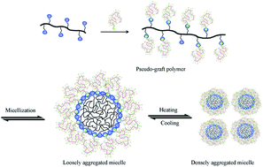 Graphical abstract: Pseudo-graft polymer based on adamantyl-terminated poly(oligo(ethylene glycol) methacrylate) and homopolymer with cyclodextrin as pendant: its thermoresponsivity through polymeric self-assembly and host–guest inclusion complexation