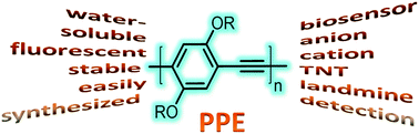 Graphical abstract: Poly(aryleneethynylene)s (PAE) as paradigmatic sensor cores