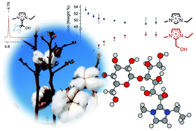 Graphical abstract: Ionic liquids: not always innocent solvents for cellulose