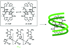 Graphical abstract: Chiroptical sensing of oligonucleotides with a cyclic octapyrrole