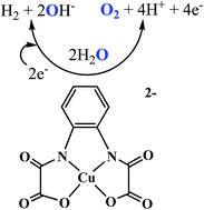 Graphical abstract: A mononuclear copper electrocatalyst for both water reduction and oxidation