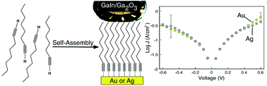 Graphical abstract: Self-assembled monolayers of terminal acetylenes as replacements for thiols in bottom-up tunneling junctions