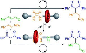 Graphical abstract: Selecting reactions and reactants using a switchable rotaxane organocatalyst with two different active sites