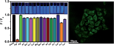 Graphical abstract: Facile synthesis of oxygen and sulfur co-doped graphitic carbon nitride fluorescent quantum dots and their application for mercury(ii) detection and bioimaging