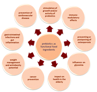 Graphical abstract: Prebiotics as functional food ingredients preventing diet-related diseases