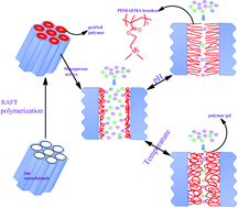 Graphical abstract: Polyelectrolyte/mesoporous silica hybrid materials for the high performance multiple-detection of pH value and temperature