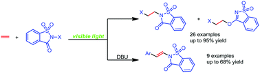 Graphical abstract: Visible-light promoted intermolecular halofunctionalization of alkenes with N-halogen saccharins