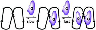 Graphical abstract: Tetrameric psuedo-peptide receptors with allosteric properties