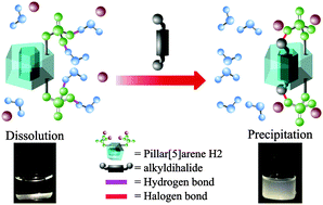 Graphical abstract: Selective precipitation of alkyl dihalides using a newly synthesized water-soluble bisphosphorylpillar[5]arene