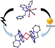 Graphical abstract: Light- or oxidation-triggered CO release from [MnI(CO)3(κ3-L)] complexes: reaction intermediates and a new synthetic route to [MnIII/IV2(μ-O)2(L)2] compounds