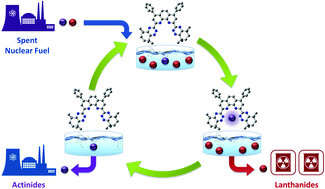 Graphical abstract: Exploring electronic effects on the partitioning of actinides(iii) from lanthanides(iii) using functionalised bis-triazinyl phenanthroline ligands