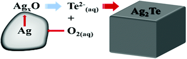 Graphical abstract: A facile room temperature chemical transformation approach for binder-free thin film formation of Ag2Te and lithiation/delithiation chemistry of the film
