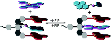 Graphical abstract: Bis[alkynylplatinum(ii)] terpyridine molecular tweezer with conformationally-rigid spacer: modulating the binding selectivity in a three-component supramolecular recognition system
