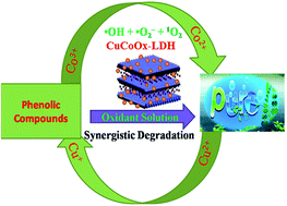 Graphical abstract: Bimetallic synergistic degradation of chlorophenols by CuCoOx–LDH catalyst in bicarbonate-activated hydrogen peroxide system